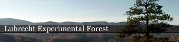 Lubrecht Experimental Forest Website Banner