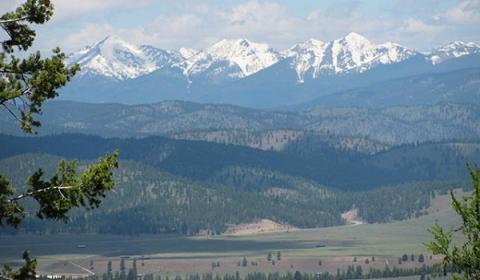 Landscape photo of the Lubrecht Experimental Forest