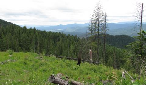 Priest River Experimental Forest