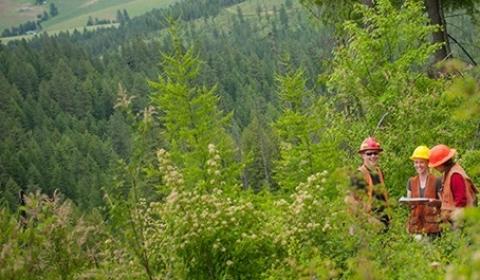 University of Idaho Experimental Forest