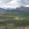 View of landscape vegetation mosaics created by a lightning-caused fire in the Bob Marshall Wilderness