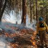 Prescribed fire treatment