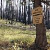 Sign showing the Bob Marshall Wilderness