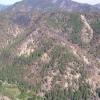 Dry mixed conifer forest